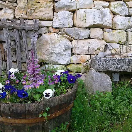 Arbalovija 2 Apartmán Žminj